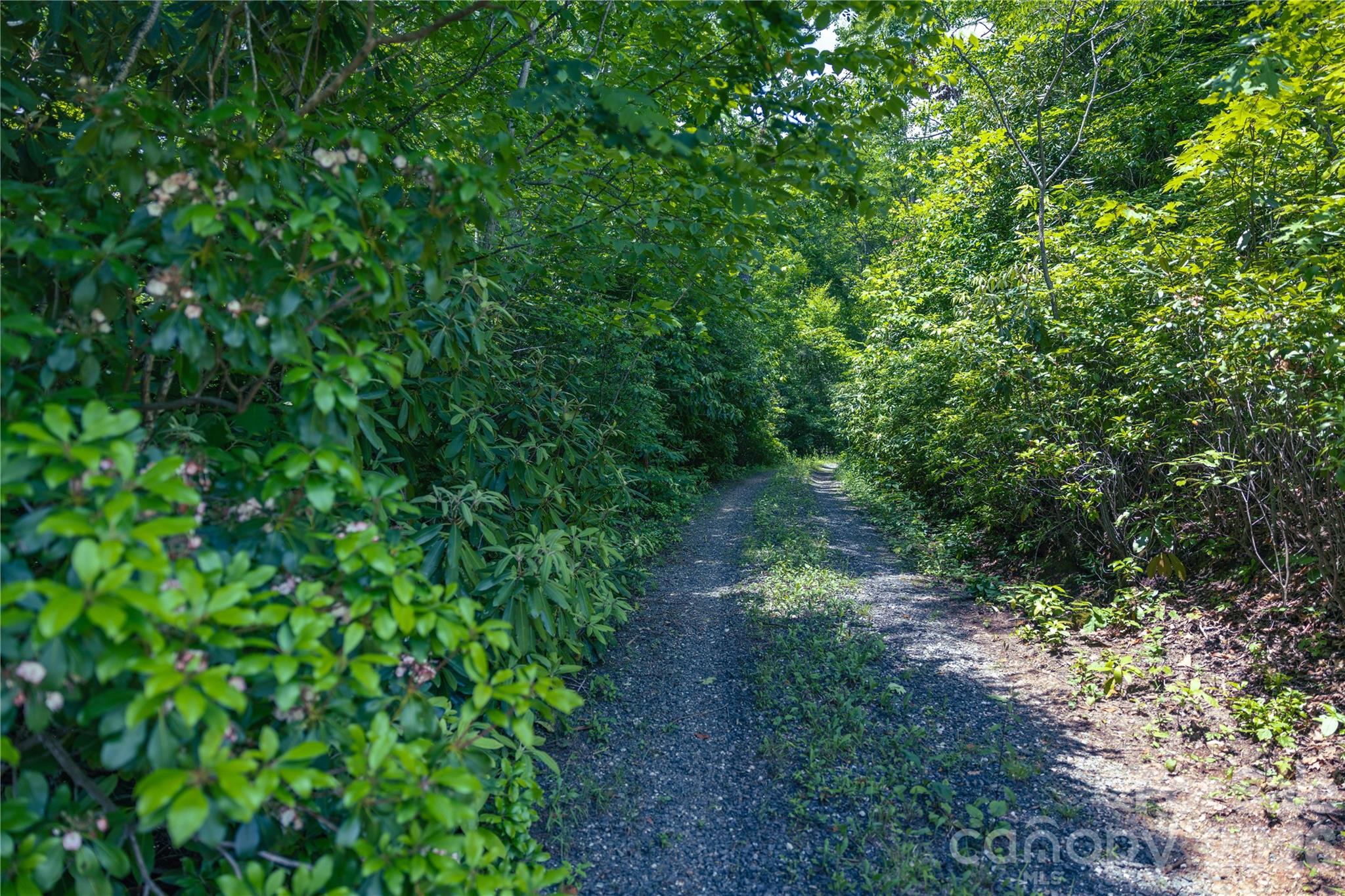 3409 Parris Branch Road Sylva, NC 28779 - Photo 9 of 19