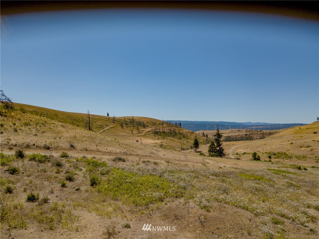 -xxx Raptor Ridge Road Cle Elum, WA 98922 - Photo 4 of 22 Gallery Image 4