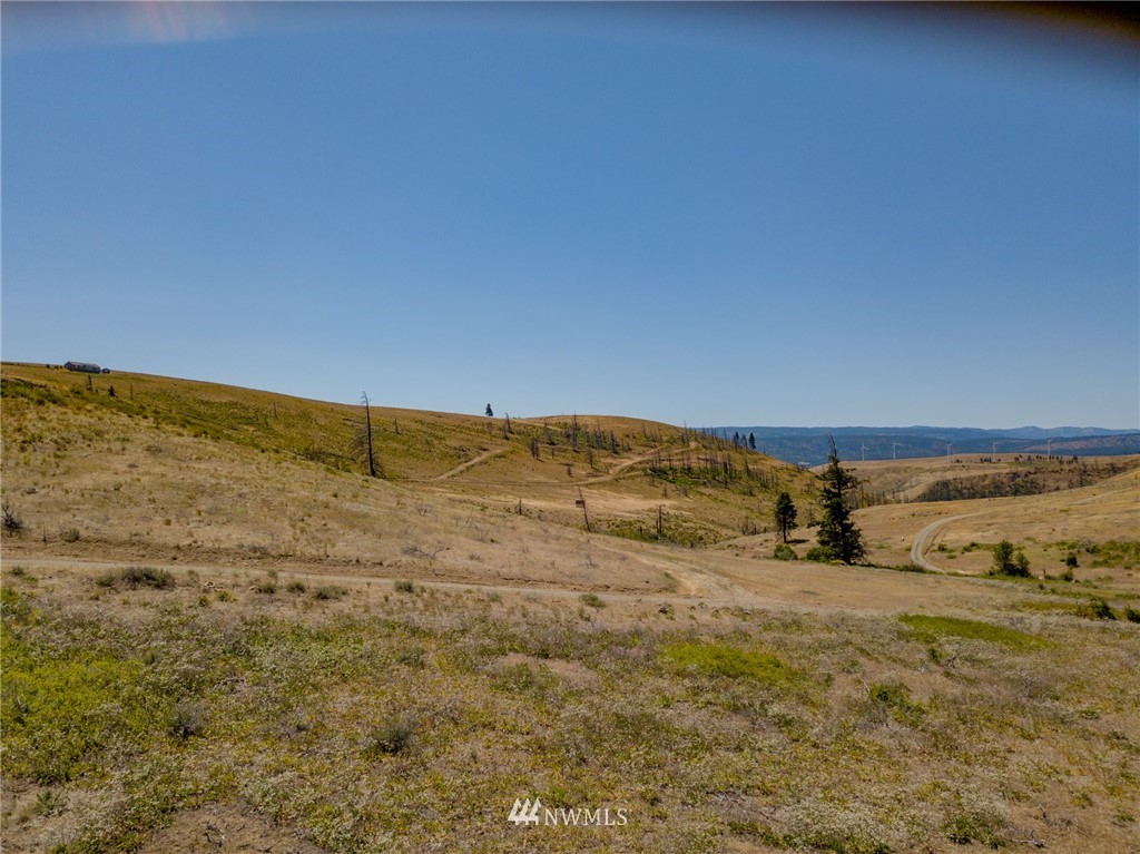 -xxx Raptor Ridge Road Cle Elum, WA 98922 - Photo 5 of 22 Gallery Image 5
