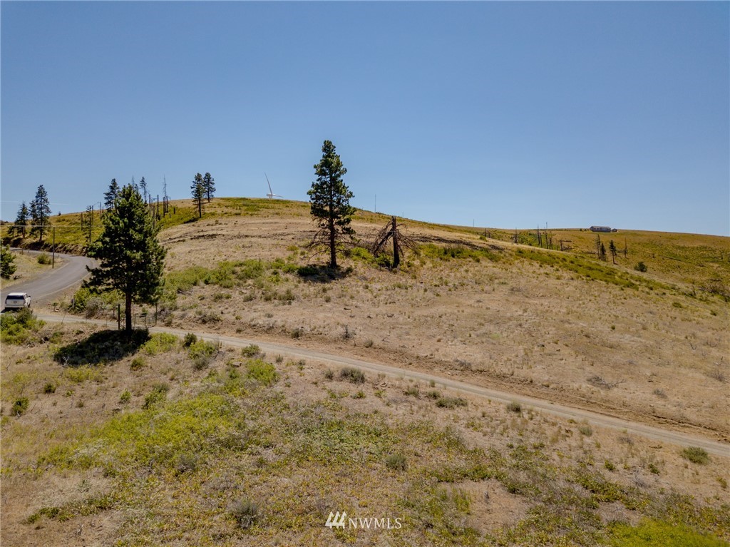 -xxx Raptor Ridge Road Cle Elum, WA 98922 - Photo 6 of 22 Gallery Image 6