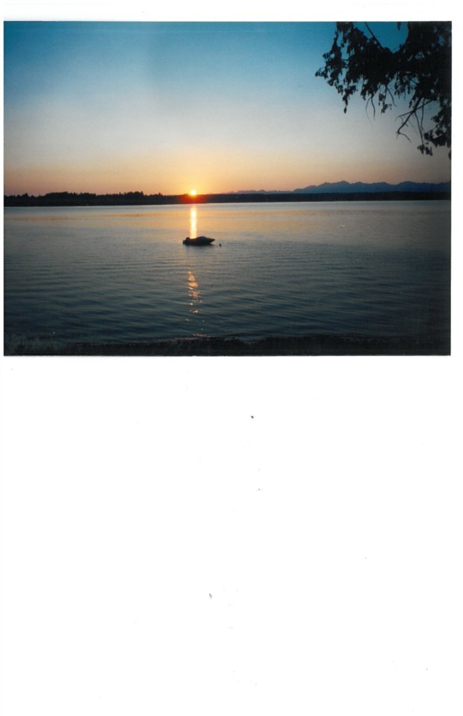 7308 Crescent Beach Road Vaughn, WA 98394 - Photo 1 of 1 Gallery Image 1