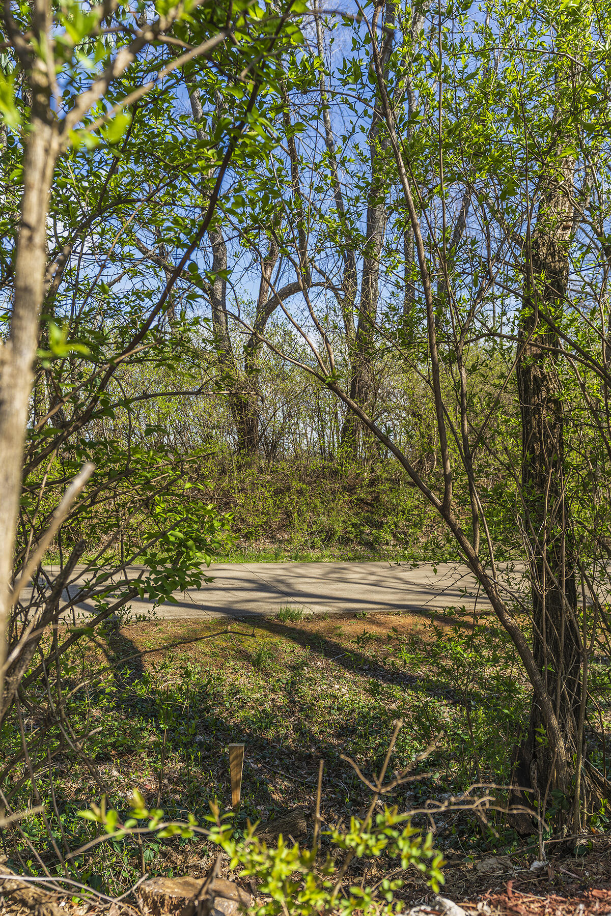 4017 Buttermilk Road Lexington, KY 40509 - Photo 48 of 48 4017buttermilk47