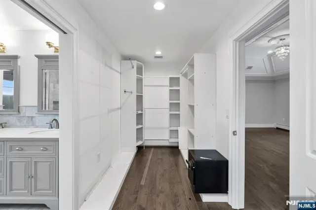 a view of a bathroom with a sink walk in closet and a mirror