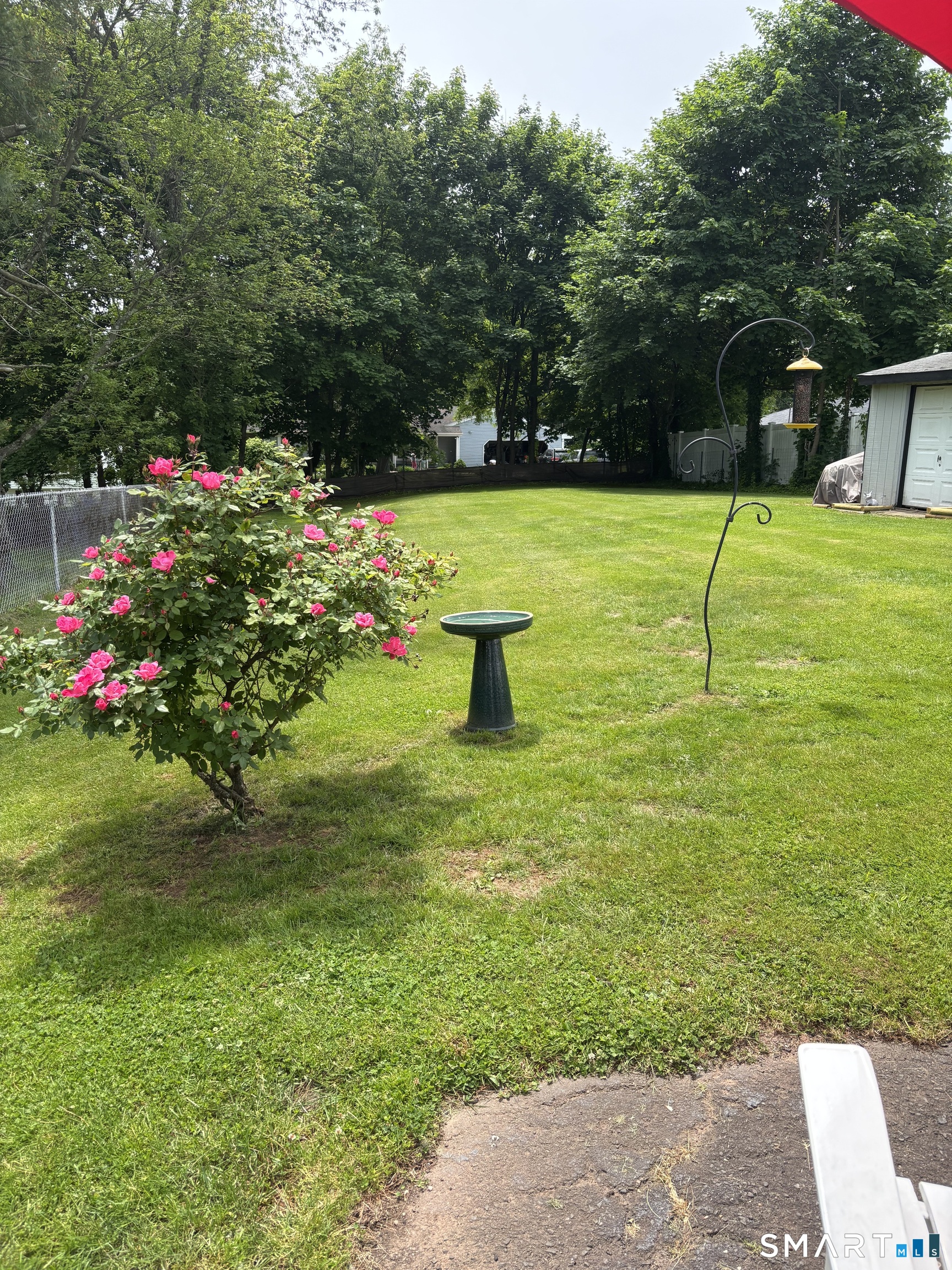 65 Cass Street Meriden, CT 06450 - Photo 9 of 21 a view of a garden with flowers