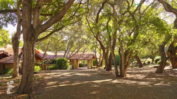 a view of a trees and tree in front of it