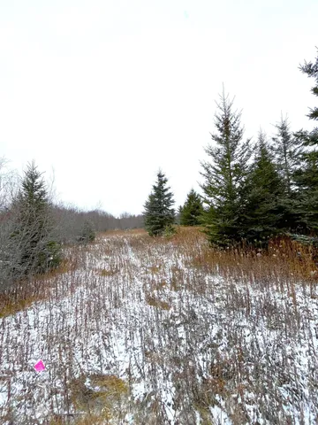 $46,000 | Lot 3-tbd Lot 3-tbd 330th Street, Warroad, MN 56763