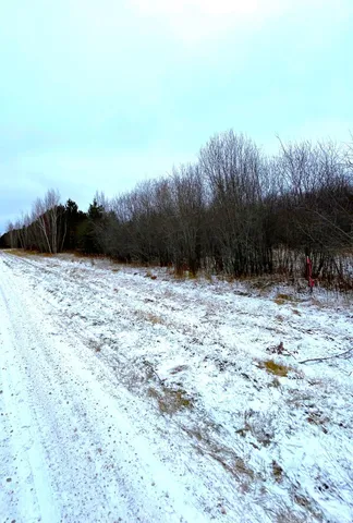 $46,000 | Lot 3-tbd Lot 3-tbd 330th Street, Warroad, MN 56763