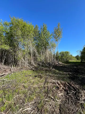 $46,000 | Lot 3-tbd Lot 3-tbd 330th Street, Warroad, MN 56763