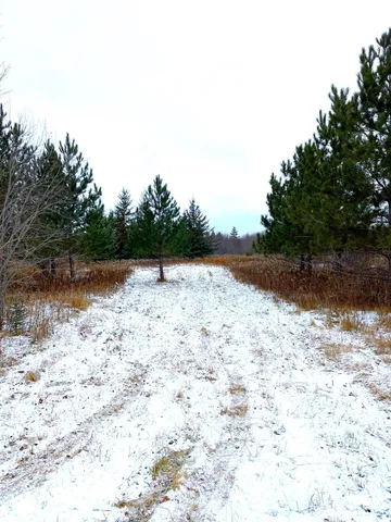 $46,000 | Lot 3-tbd Lot 3-tbd 330th Street, Warroad, MN 56763