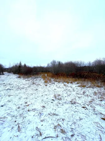 $46,000 | Lot 3-tbd Lot 3-tbd 330th Street, Warroad, MN 56763
