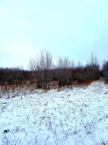 $46,000 | Lot 3-tbd Lot 3-tbd 330th Street, Warroad, MN 56763