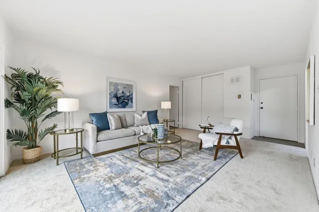 a living room with furniture a rug and a potted plant