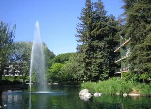 $525,000 | 934 Peninsula Avenue, Unit 301, San Mateo, CA 94401