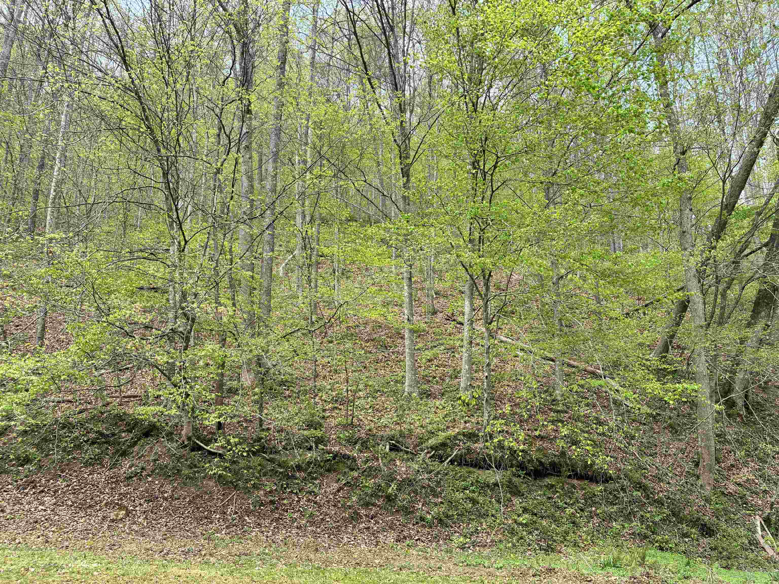 Donithan Rd Road Louisa, KY 41230 - Photo 1 of 7