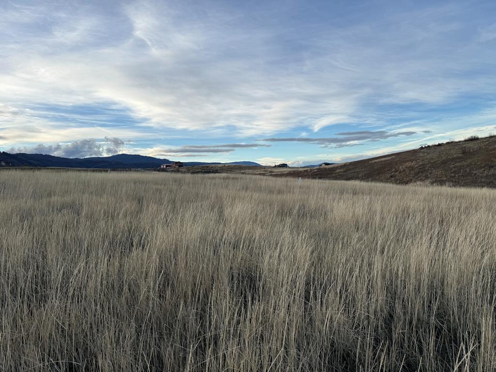 55-acres Deer Loop Council, ID 83612 - Photo 7 of 10