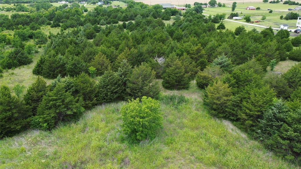 Tbv Evergreen Way Nevada, TX 75173 - Photo 4 of 4 a view of a lush green forest with lots of trees