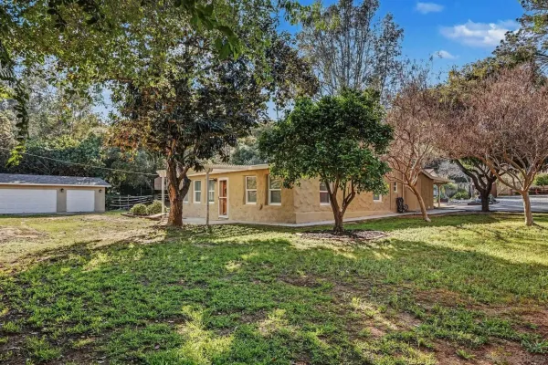 a house with lots of trees
