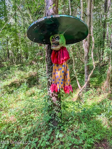 $299,000 | 7 Jordan Road, Natchez, MS 39120