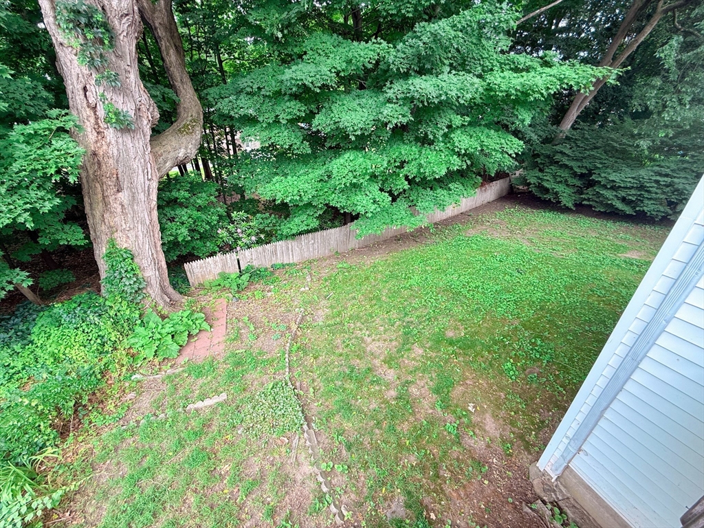 7 Elm Street, Unit 1 Natick, MA 01760 - Photo 12 of 12