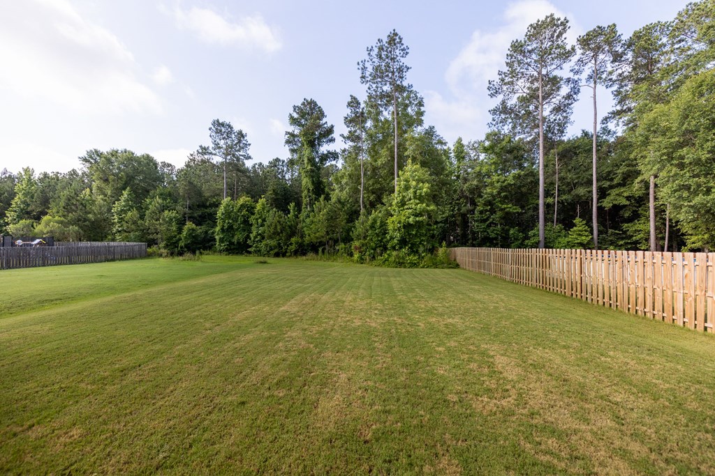 9550 Yarbrough Road Midland, GA 31820 - Photo 27 of 28