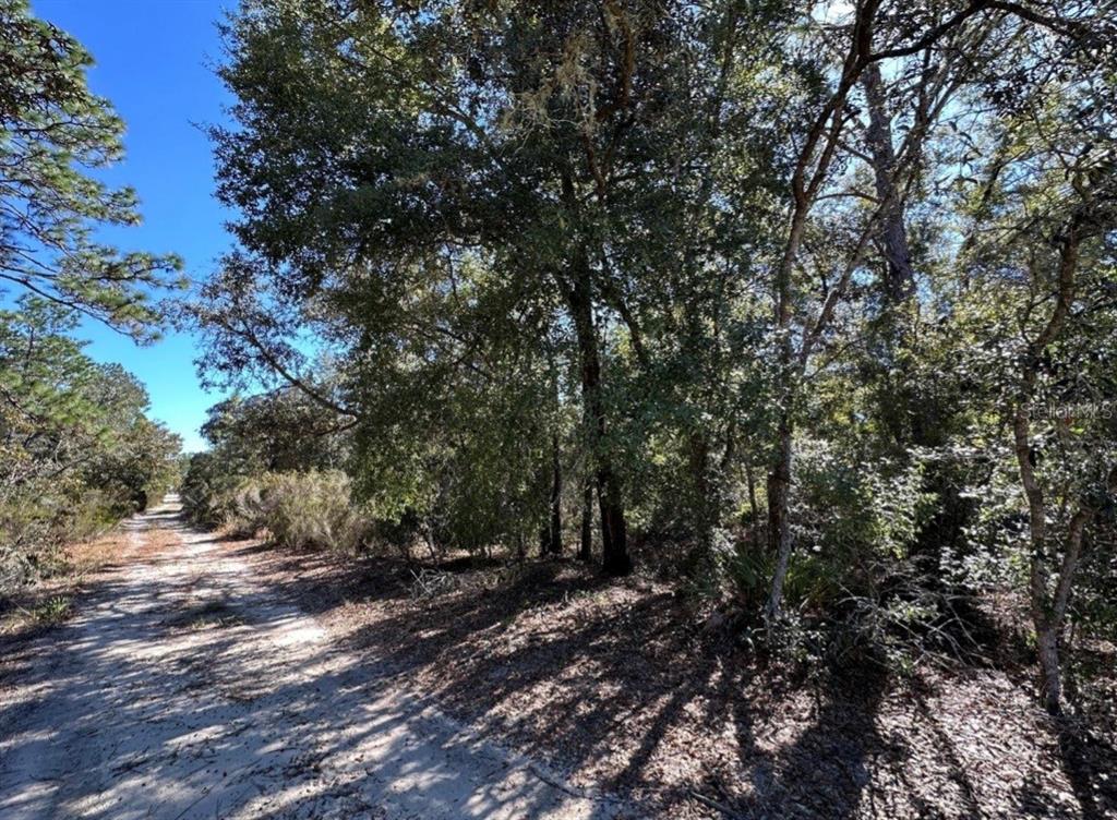 Tbd Northeast 86th Street Bronson, FL 32621 - Photo 4 of 6 Gallery Image 4