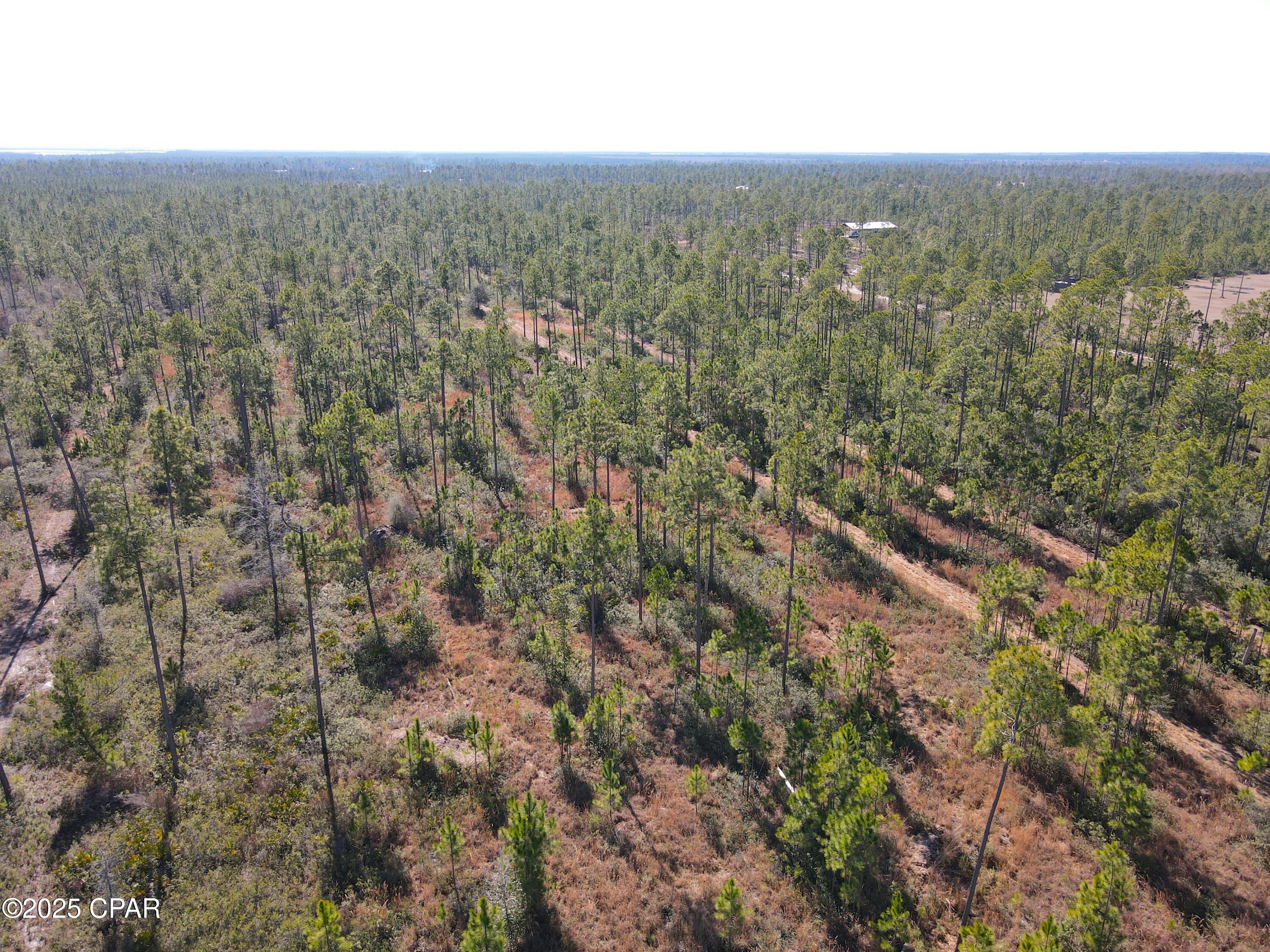 6157 Martin Sewell Road Altha, FL 32421 - Photo 14 of 37 Gallery Image 14