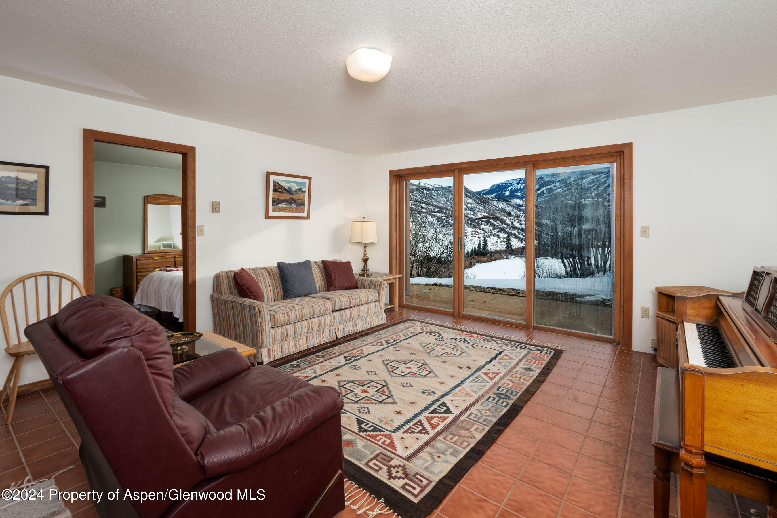 218 Shield O Road Snowmass, CO 81654 - Photo 9 of 19 Lower Level Living Area