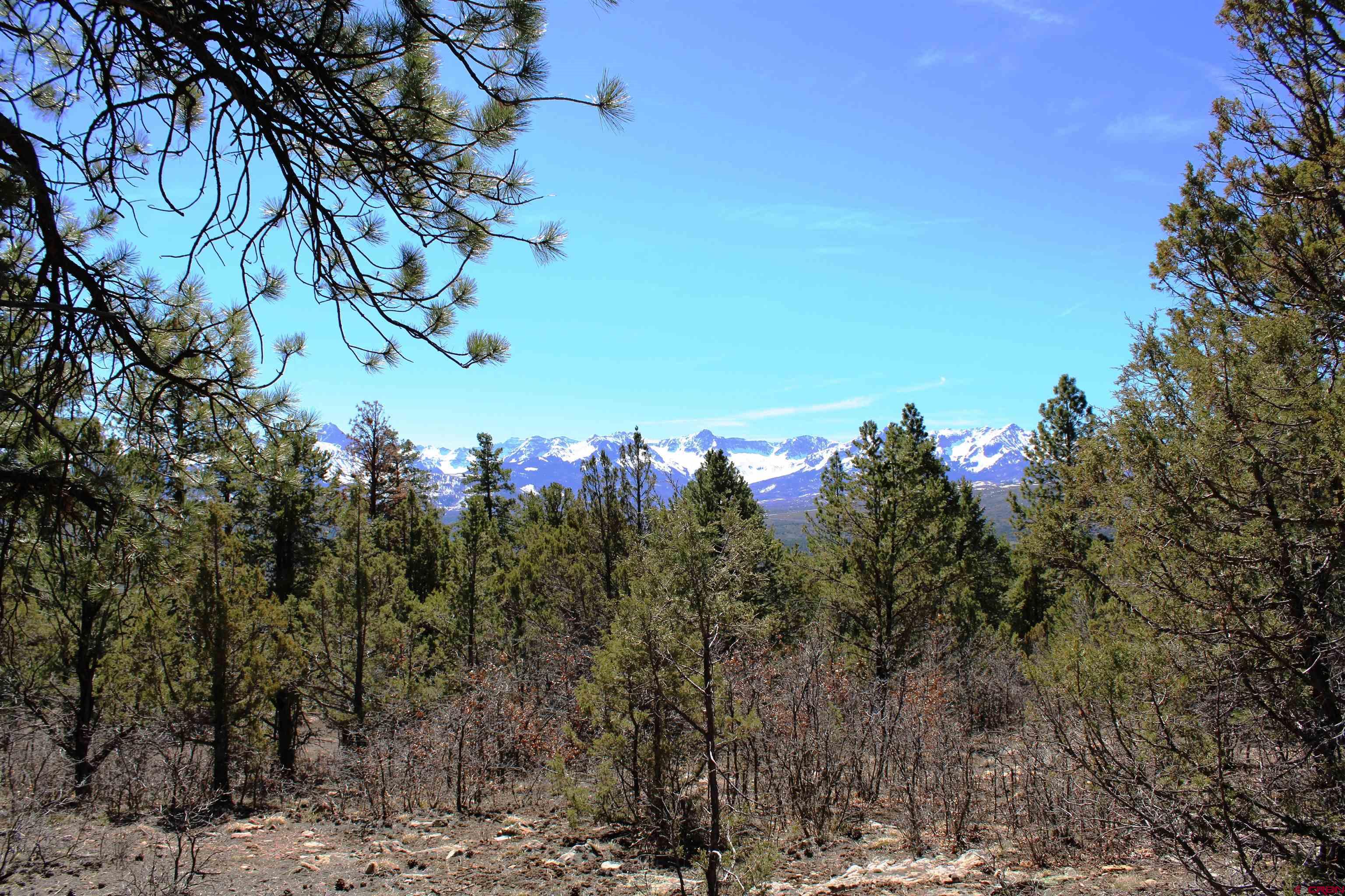 Tbd Old Relay Road Ridgway, CO 81432 - Photo 1 of 1 a view of a covered with trees in front of the house