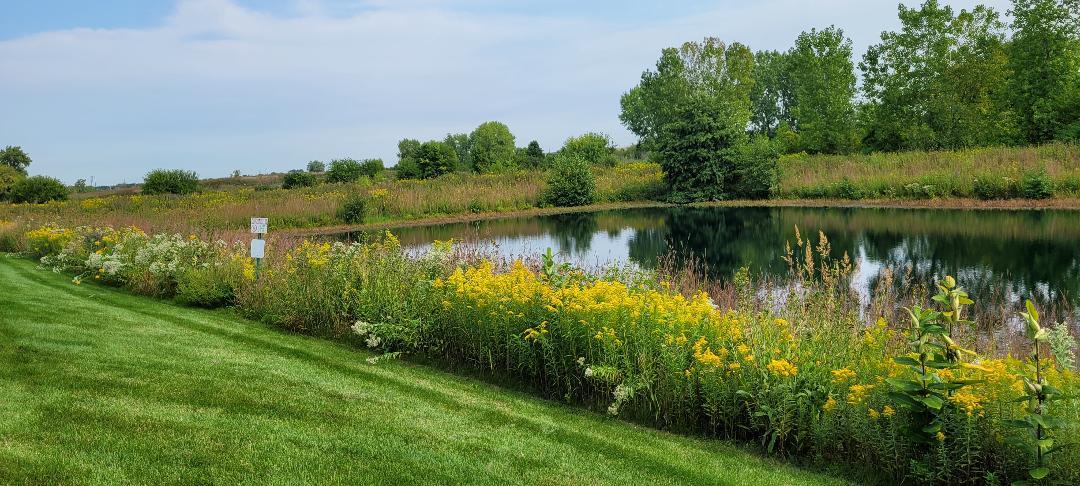 1528 Ludington Circle Romeoville, IL 60446 - Photo 16 of 22 a view of a lake