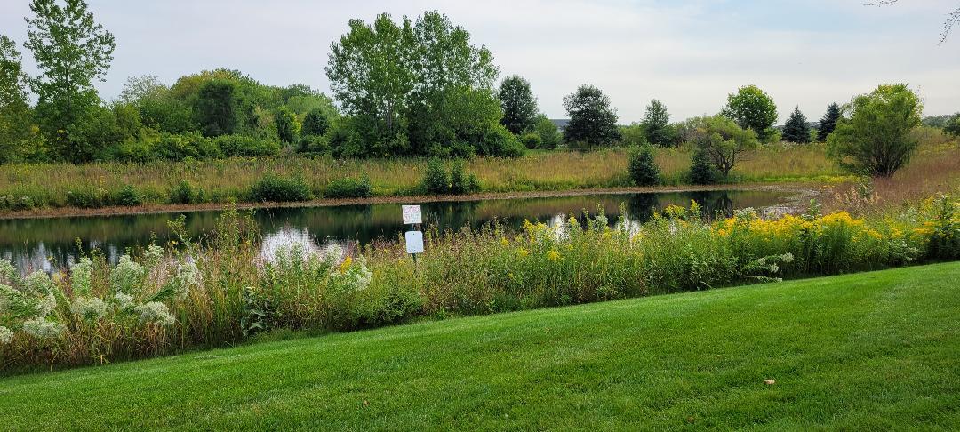 1528 Ludington Circle Romeoville, IL 60446 - Photo 17 of 22 a view of a lake