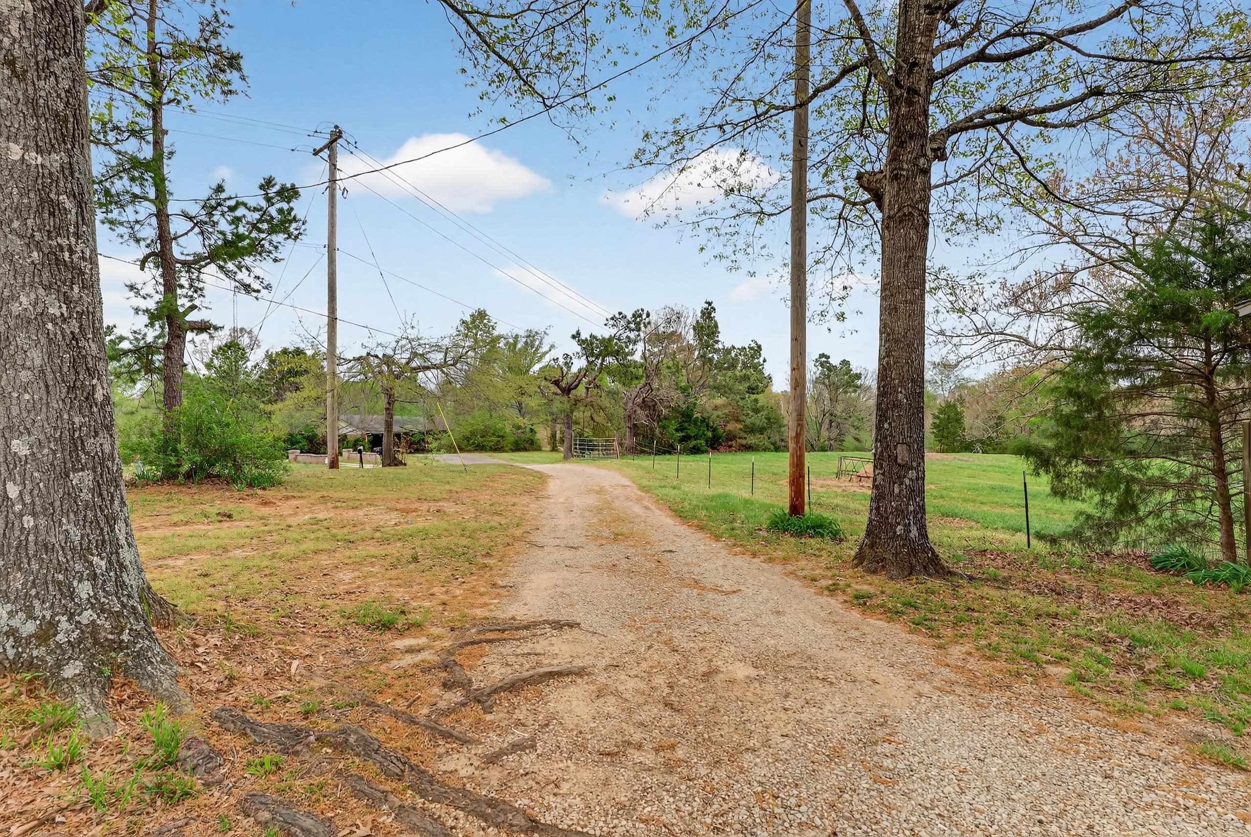 700 North Reid Hooker Road Eads, TN 38028 - Photo 19 of 20 View of road