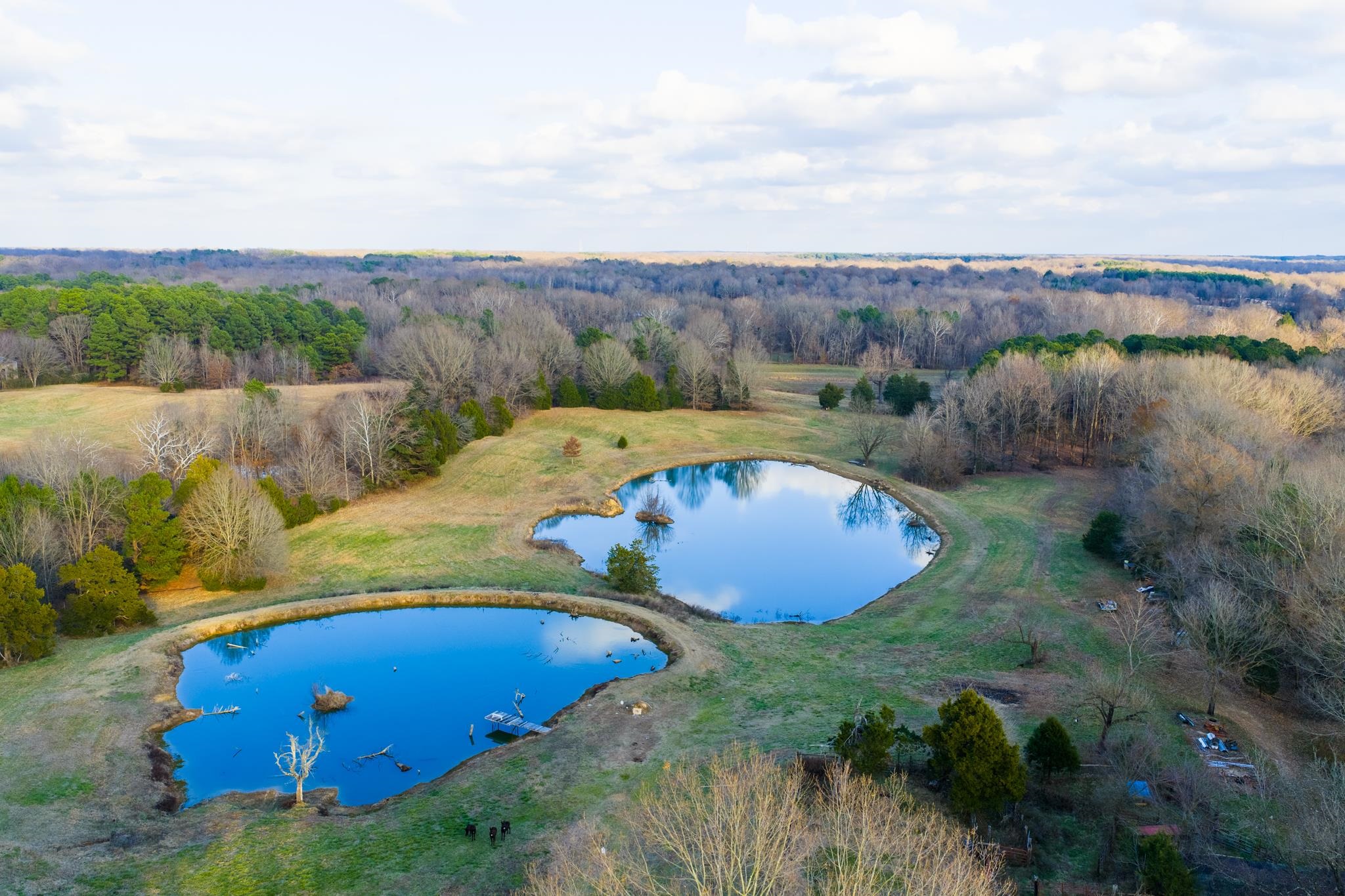 700 North Reid Hooker Road Eads, TN 38028 - Photo 3 of 20 Aerial view of a nearby body of water