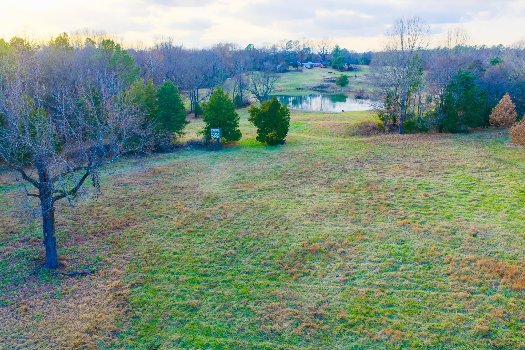 700 North Reid Hooker Road Eads, TN 38028 - Photo 6 of 20 View of yard featuring a water view