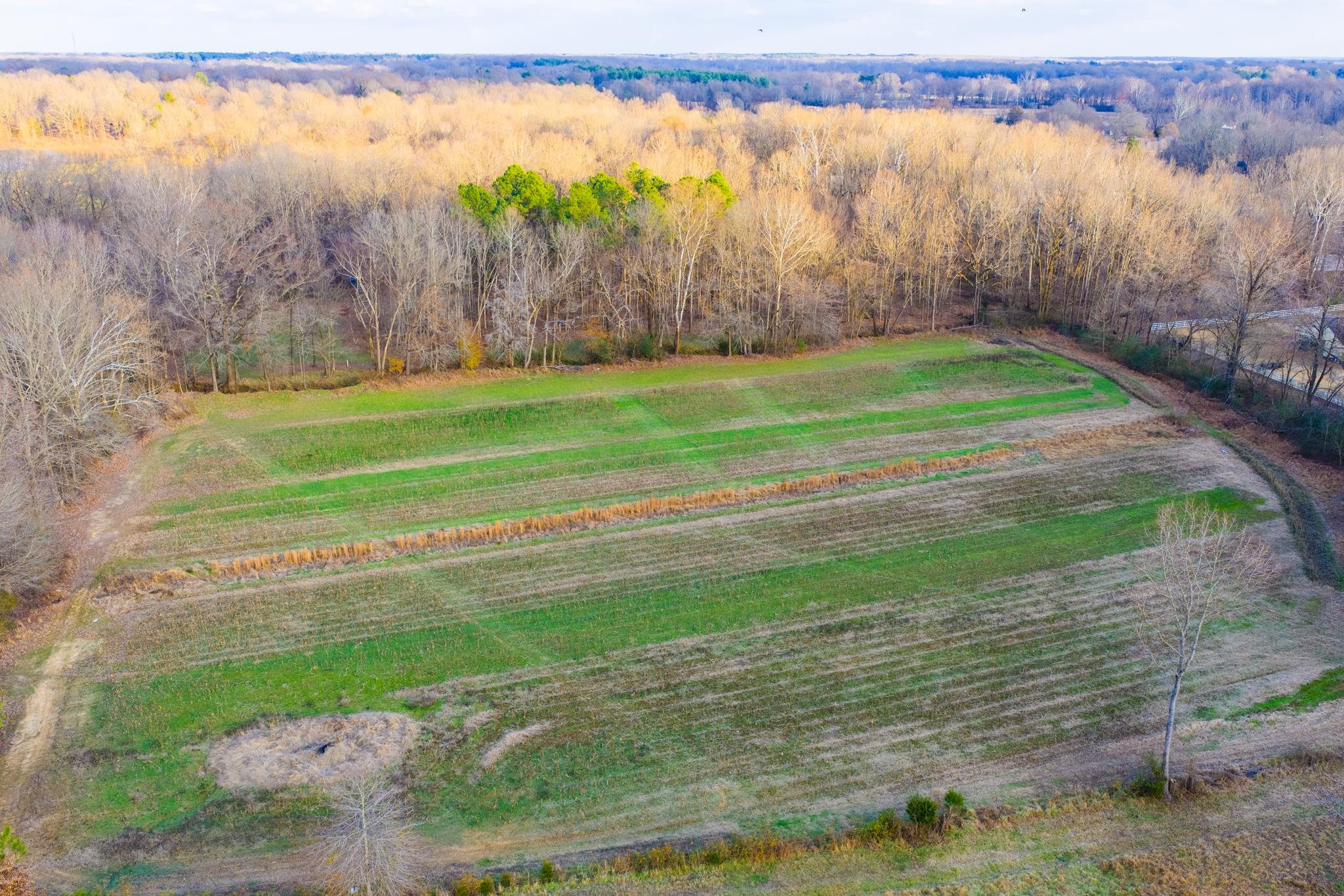 700 North Reid Hooker Road Eads, TN 38028 - Photo 7 of 20 Aerial view of sparsely populated area with abundant farmland