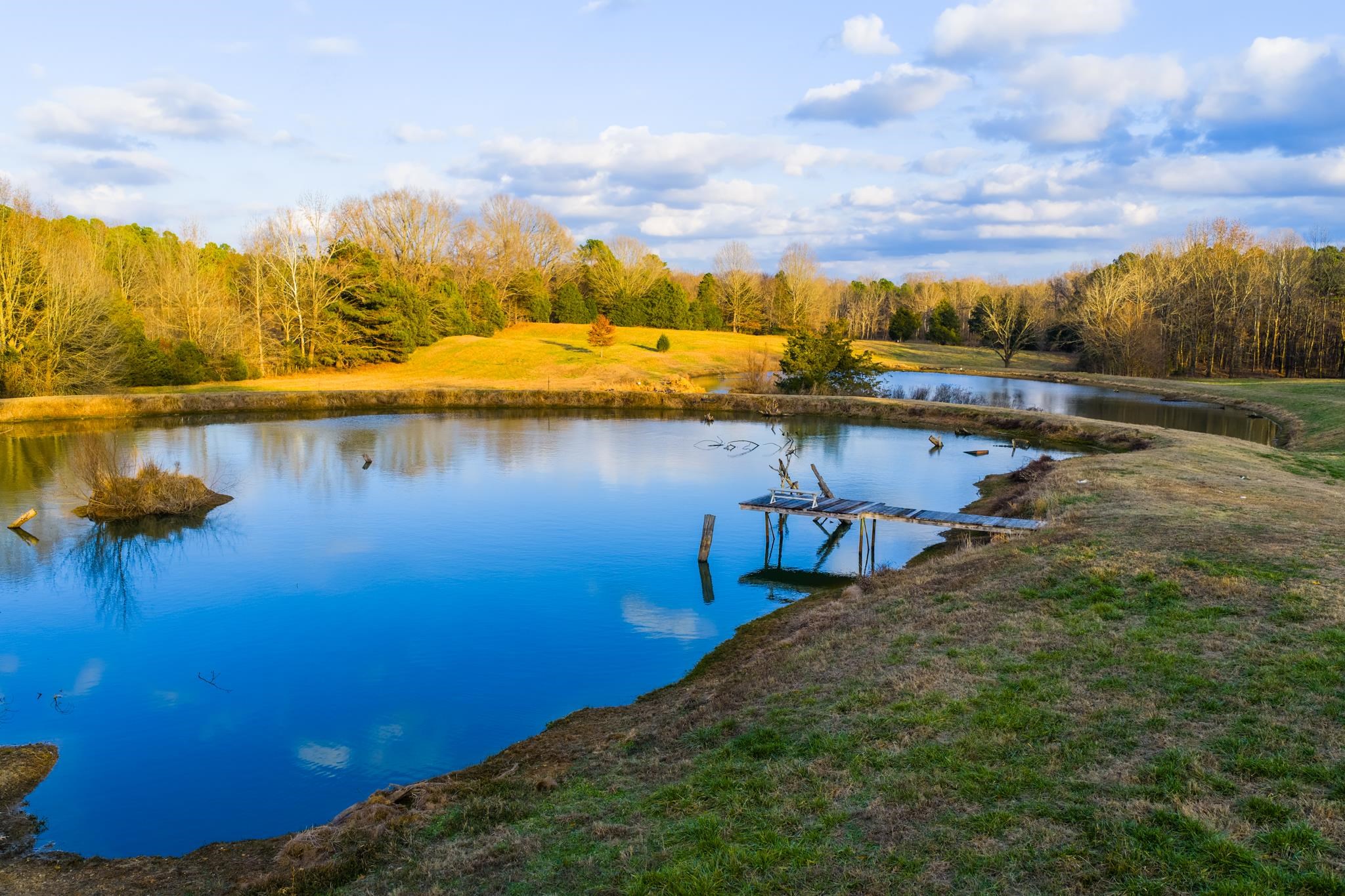 700 North Reid Hooker Road Eads, TN 38028 - Photo 8 of 20 Water view with a dock and a heavily wooded area
