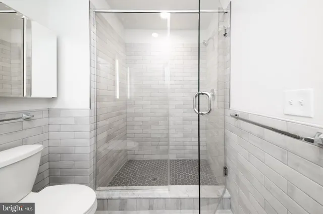 a bathroom with a toilet and a shower