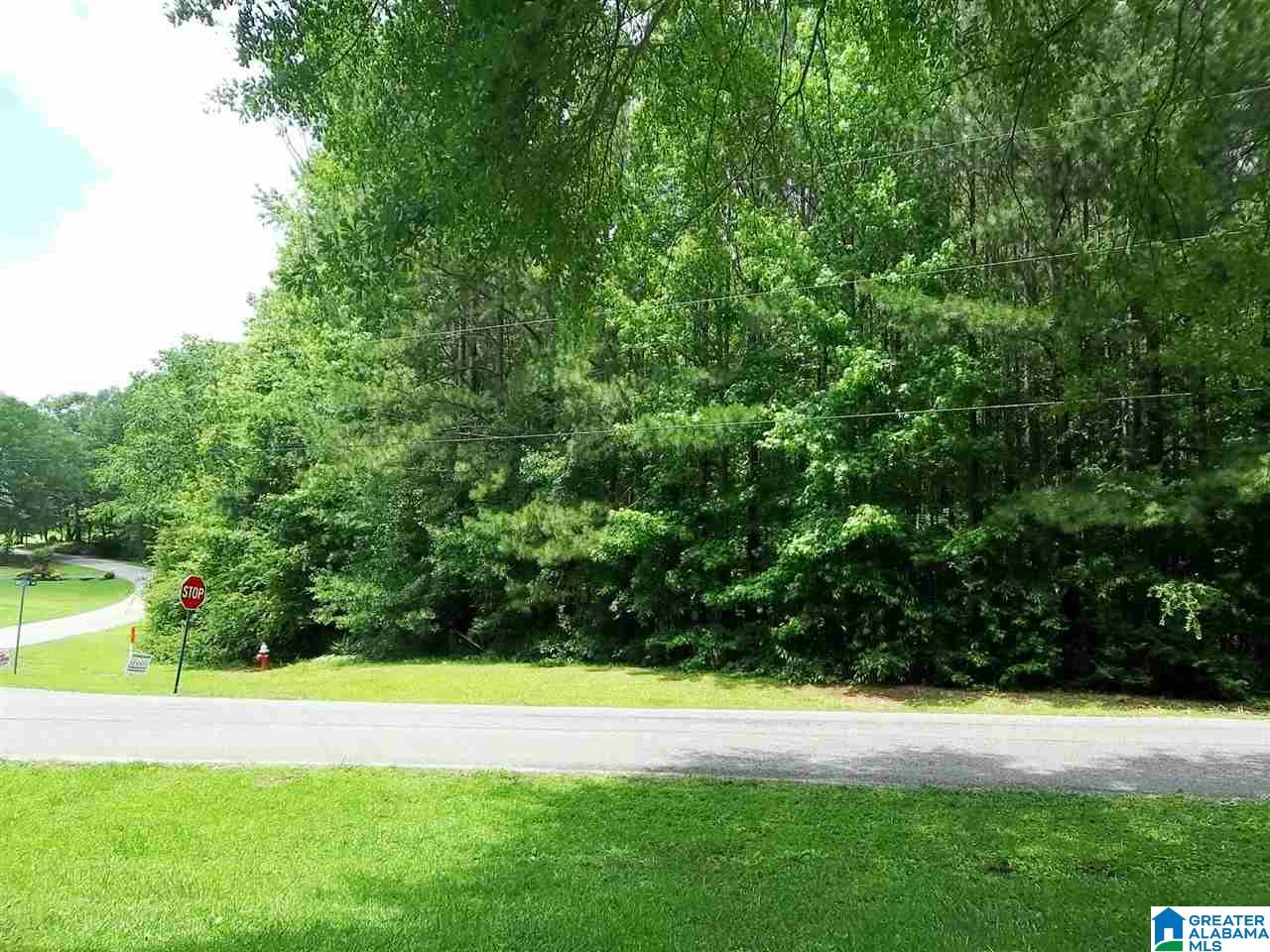 371 Royster Road Ashland, AL 36251 - Photo 19 of 19