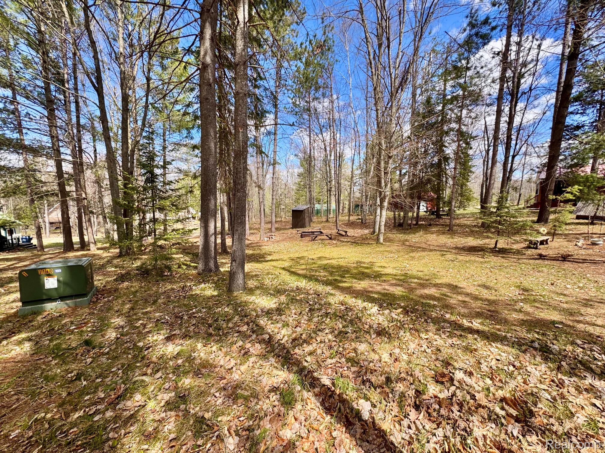 10931 North Roberts Road Frederic, MI 49733 - Photo 29 of 33 View of grassy yard with view of scattered trees