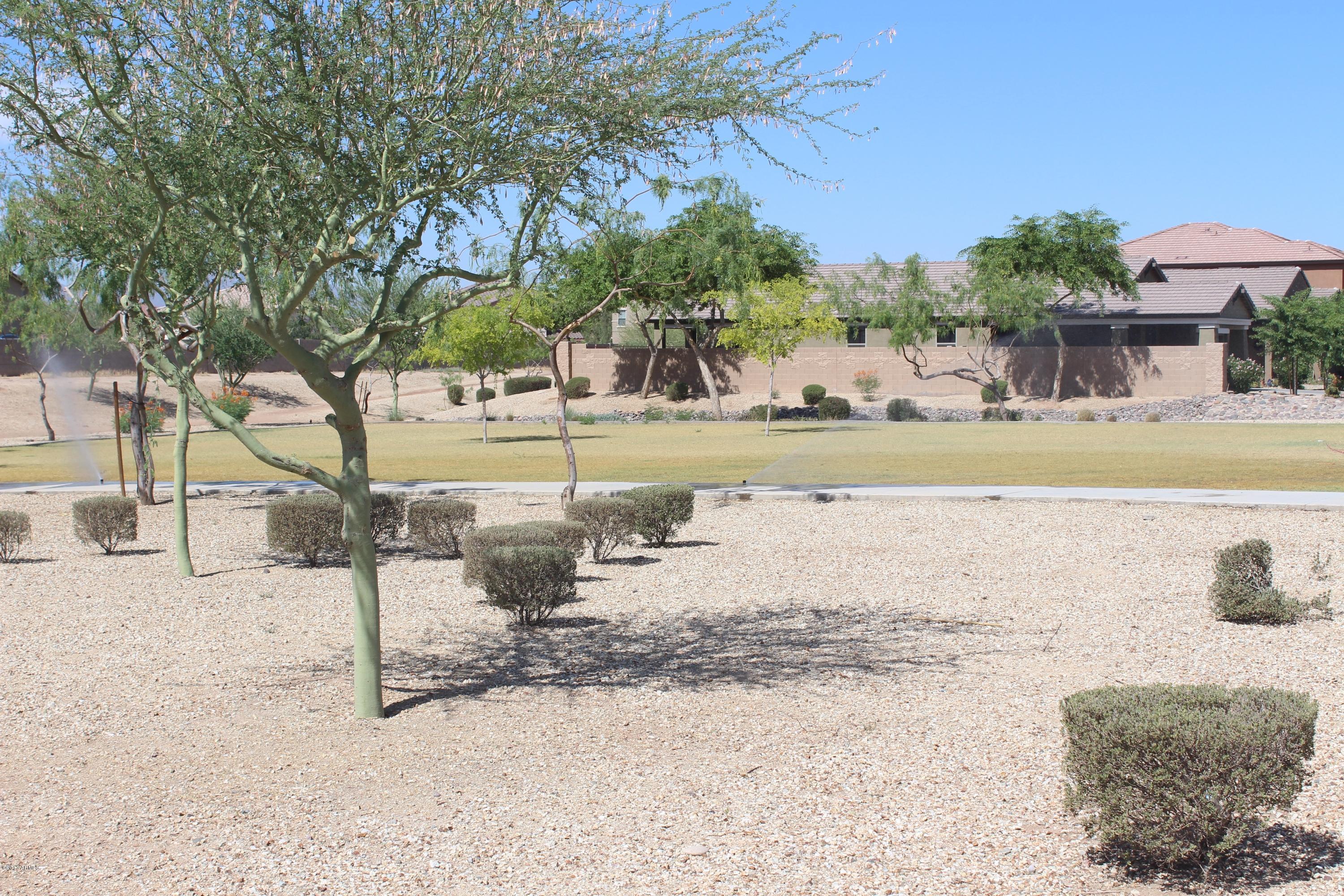 2451 West Gaby Road Phoenix, AZ 85041 - Photo 3 of 3 IMG_0830