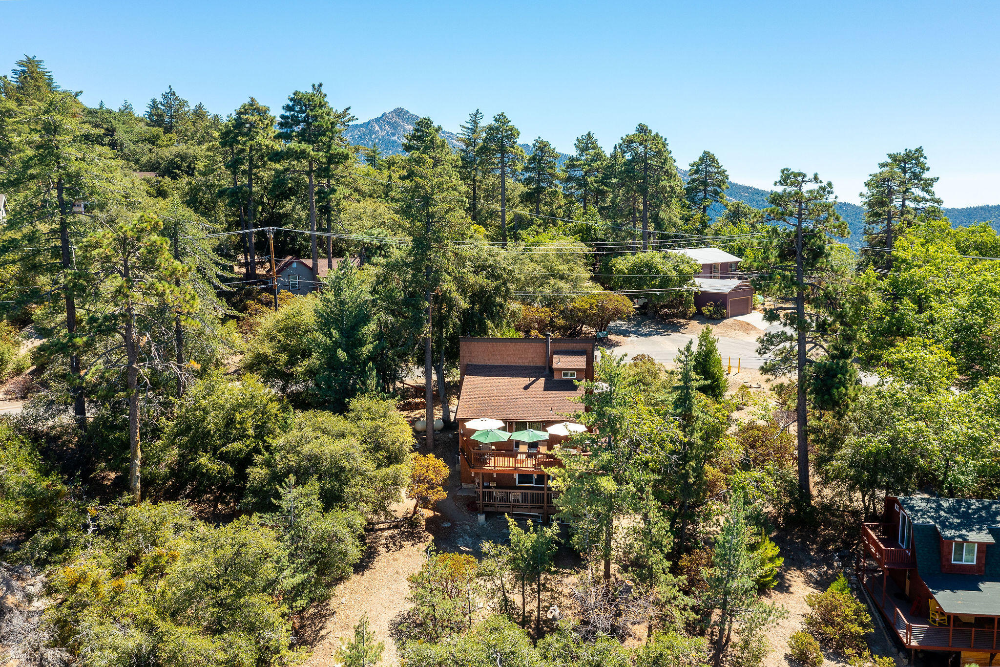 24675 Rocky Point Road Idyllwild, CA 92549 - Photo 43 of 64 a picture of trees