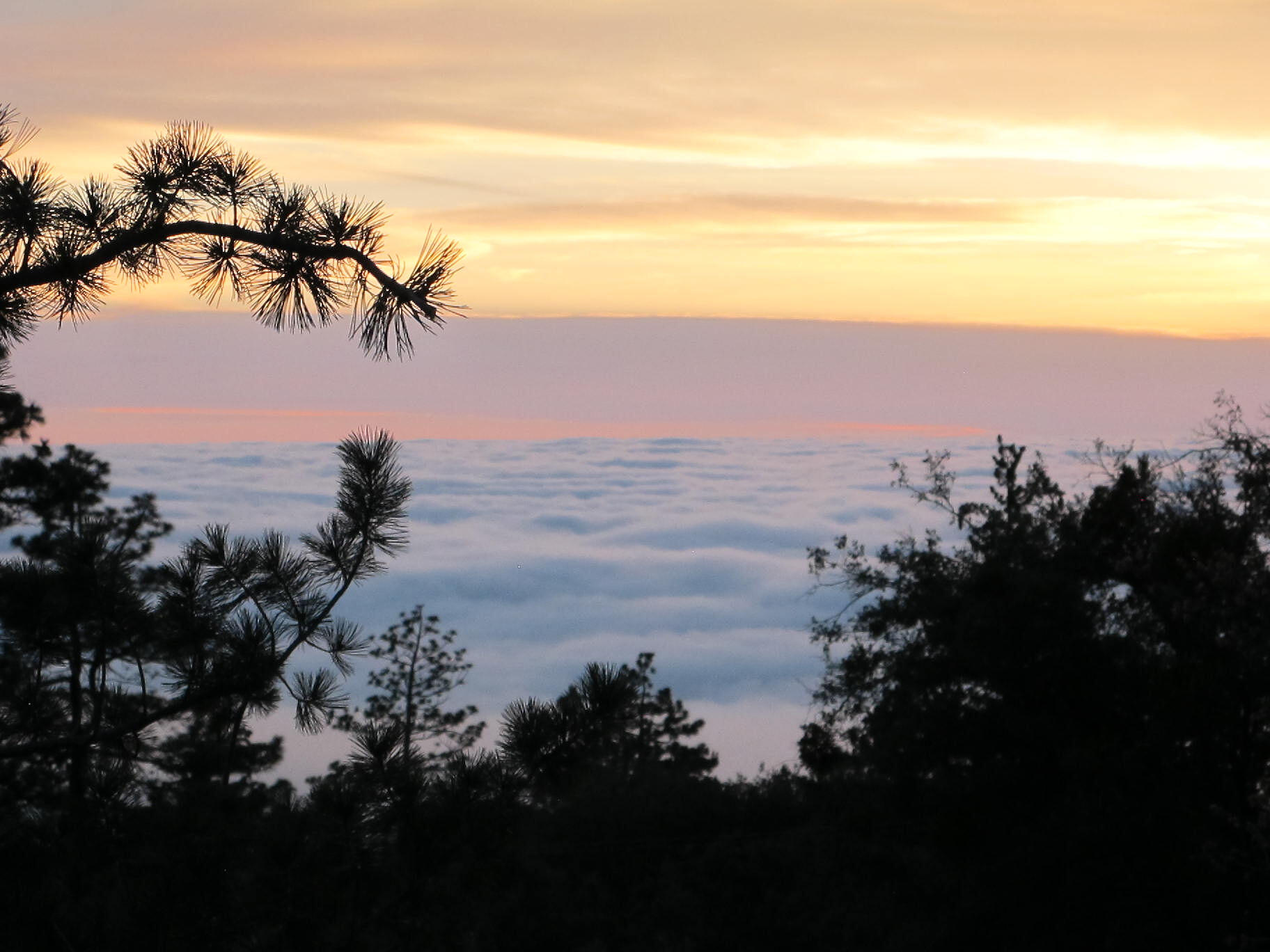 24675 Rocky Point Road Idyllwild, CA 92549 - Photo 51 of 64 IMG_0311