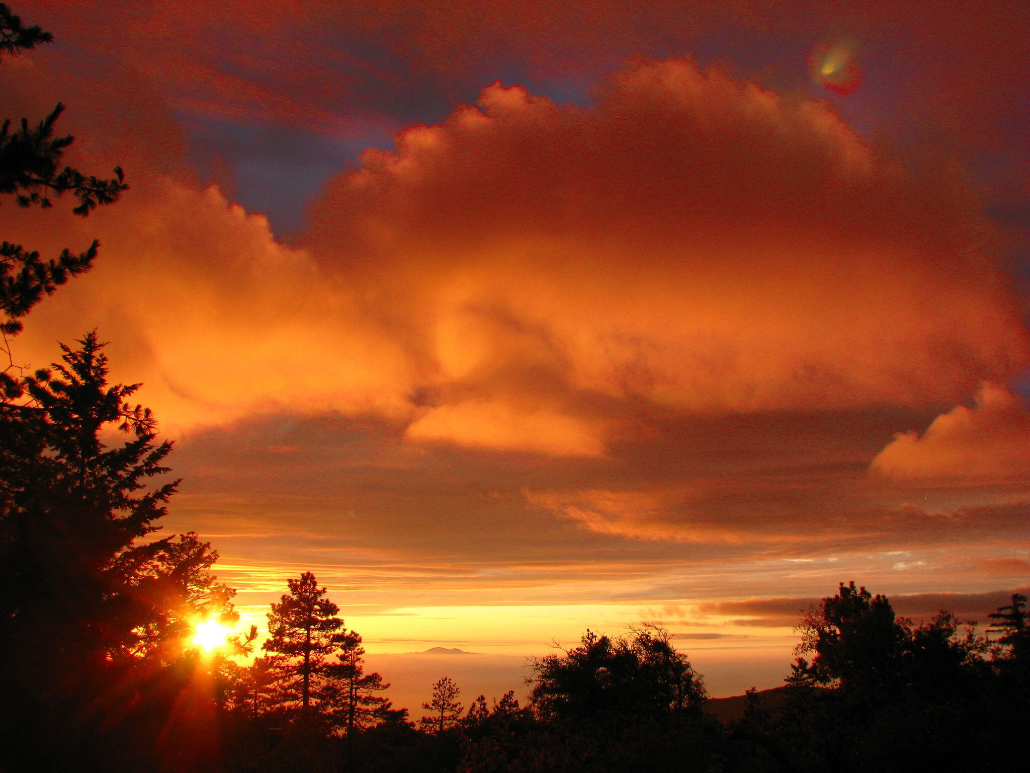 24675 Rocky Point Road Idyllwild, CA 92549 - Photo 54 of 64 IMG_4288(2)