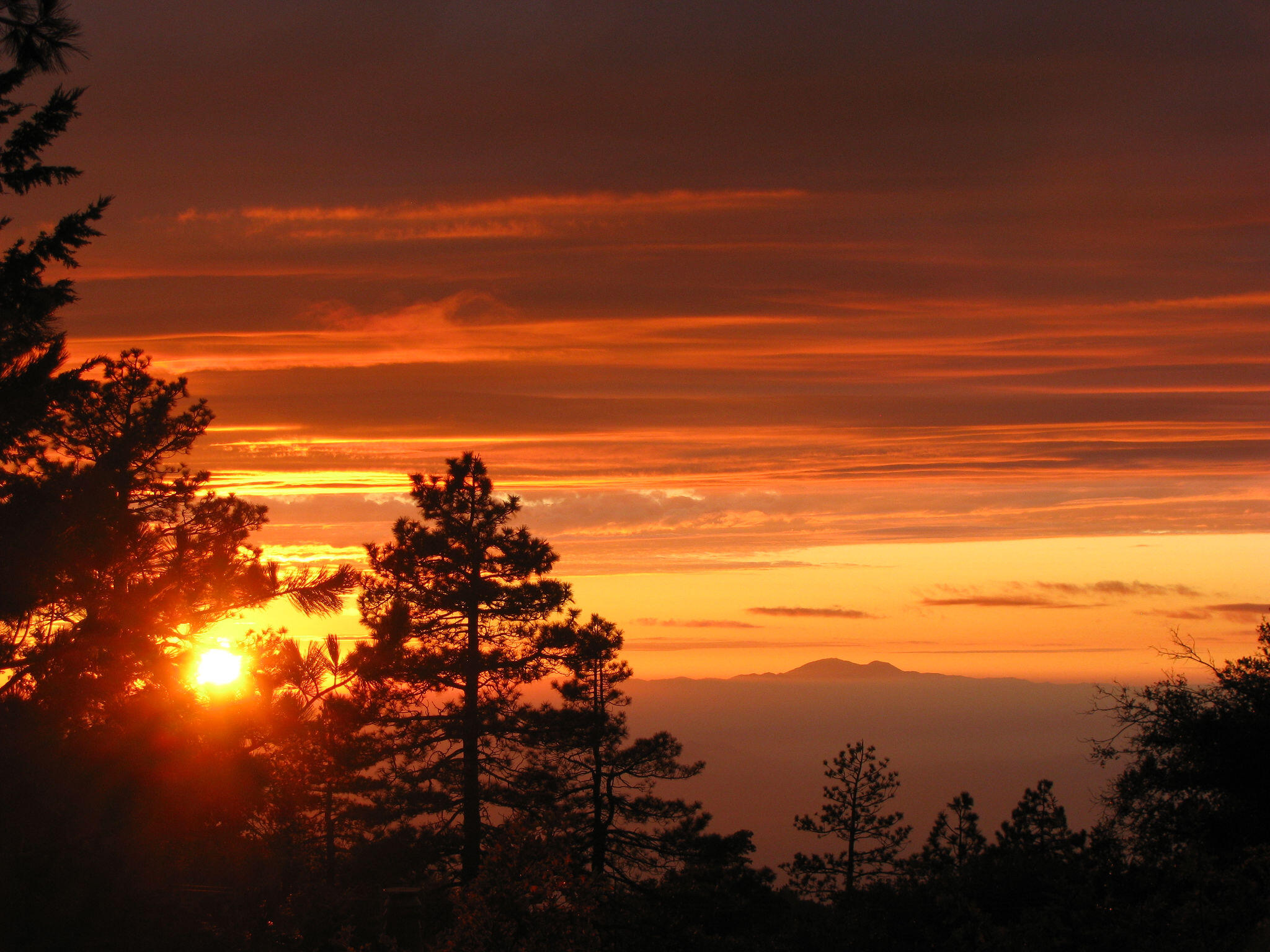 24675 Rocky Point Road Idyllwild, CA 92549 - Photo 55 of 64 IMG_4294