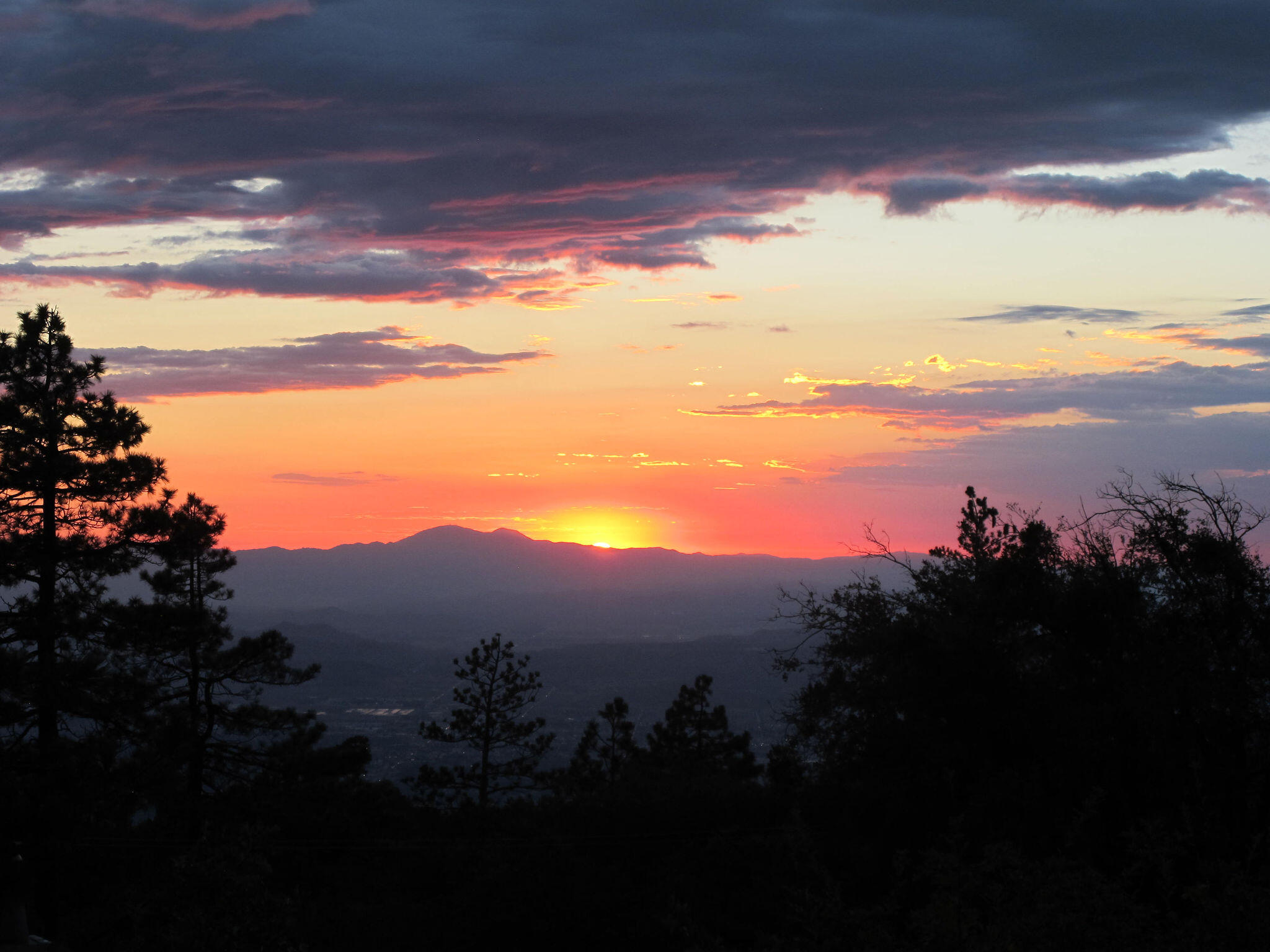 24675 Rocky Point Road Idyllwild, CA 92549 - Photo 56 of 64 IMG_5350