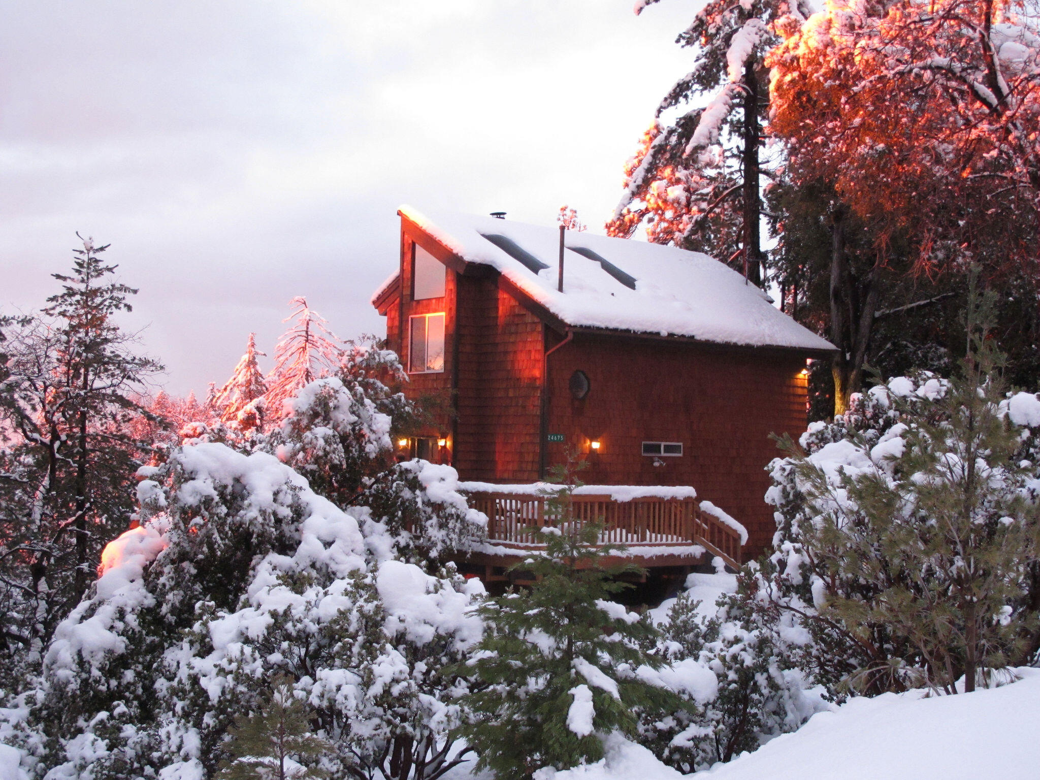 24675 Rocky Point Road Idyllwild, CA 92549 - Photo 57 of 64 a backyard of a house with lots of green space