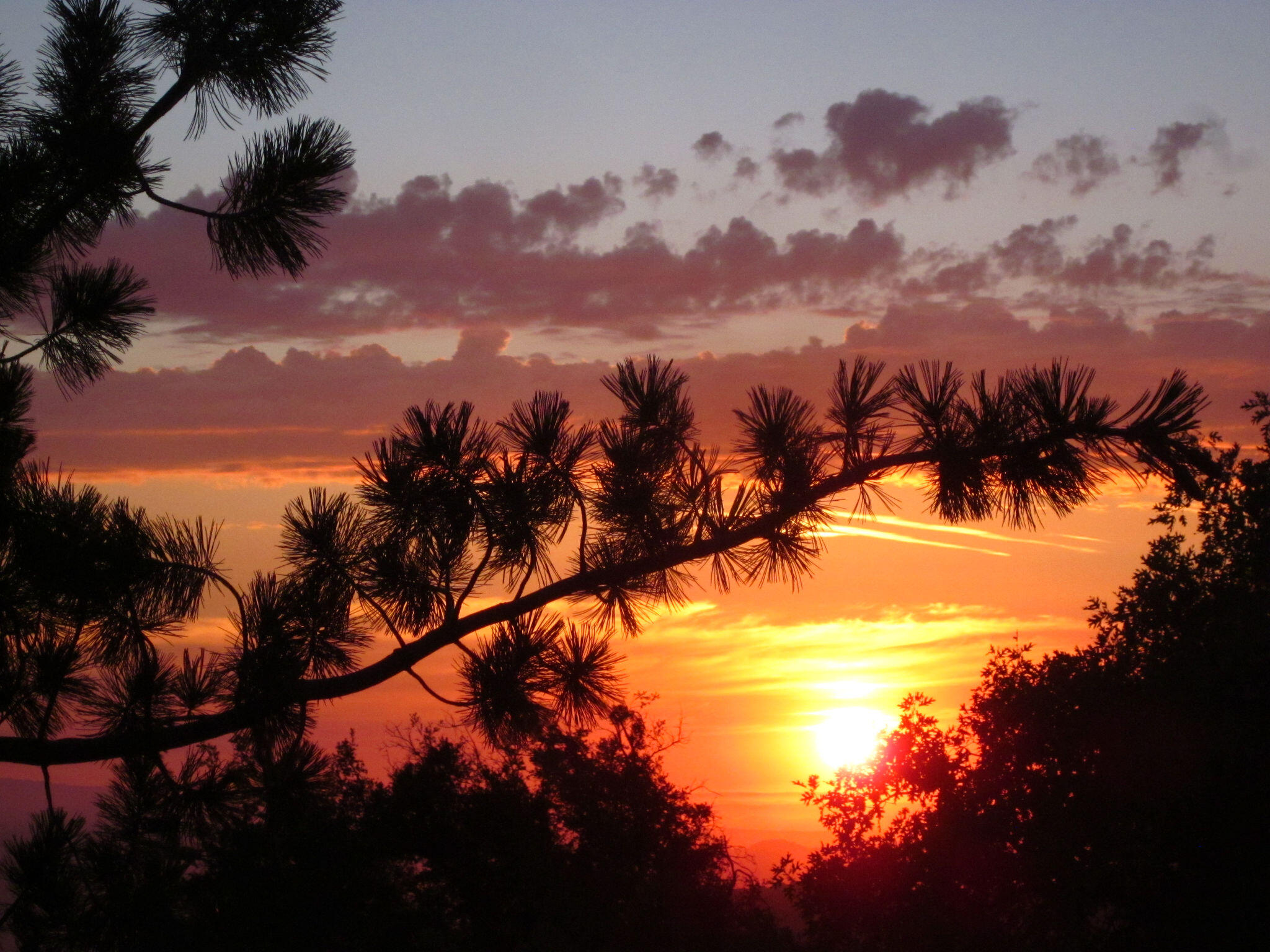 24675 Rocky Point Road Idyllwild, CA 92549 - Photo 60 of 64 IMG_7488