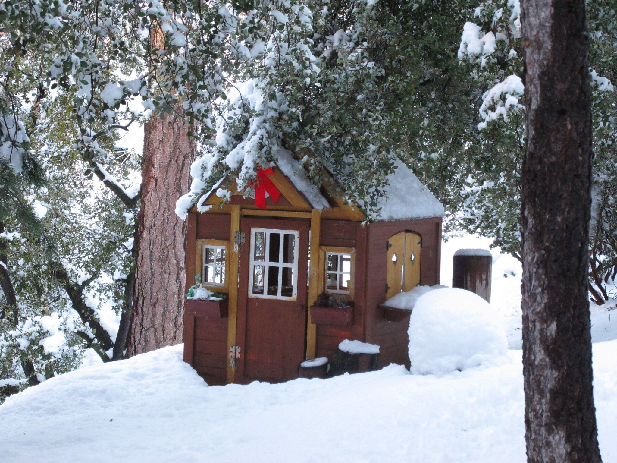 24675 Rocky Point Road Idyllwild, CA 92549 - Photo 61 of 64 a front view of a house with a yard