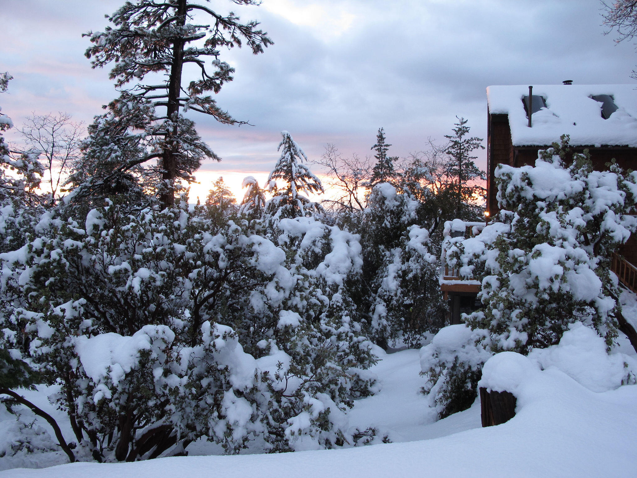 24675 Rocky Point Road Idyllwild, CA 92549 - Photo 62 of 64