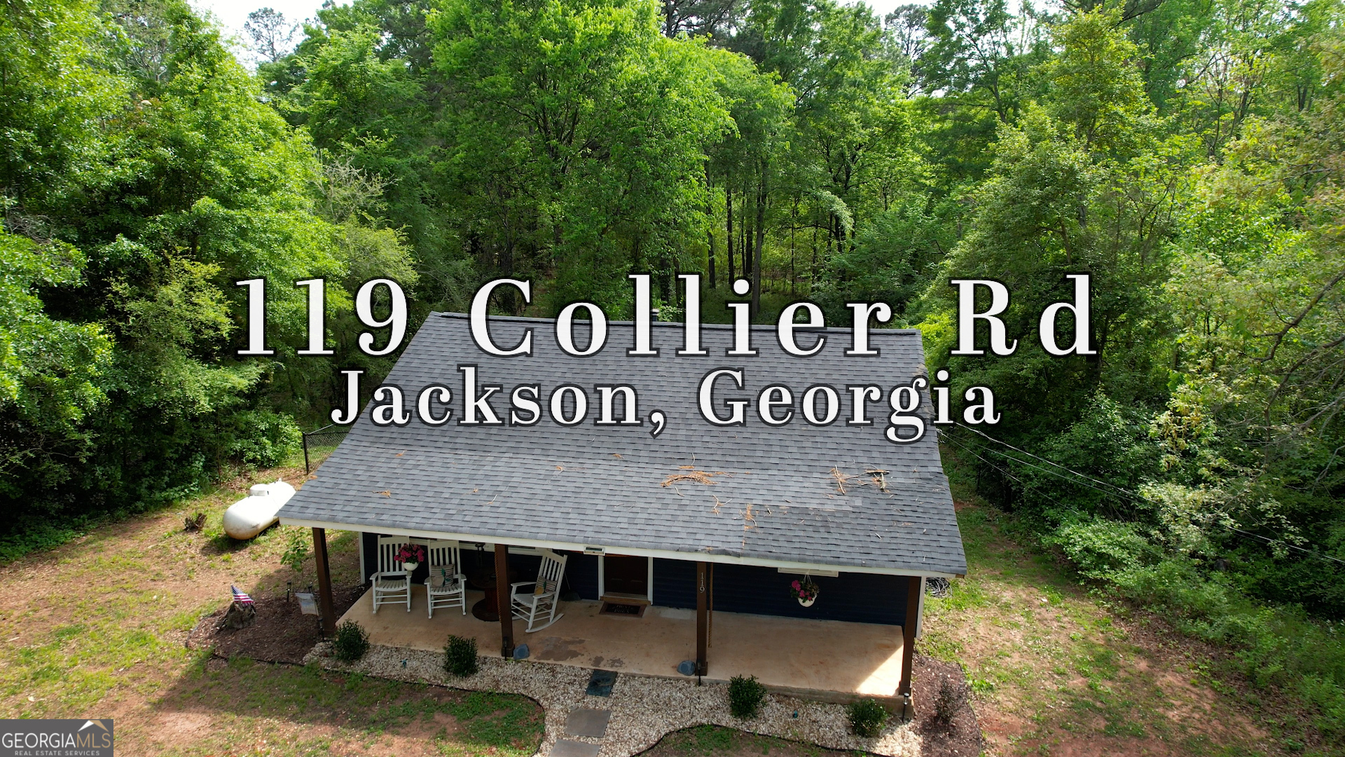 119 Collier Road Jackson, GA 30233 - Photo 42 of 47