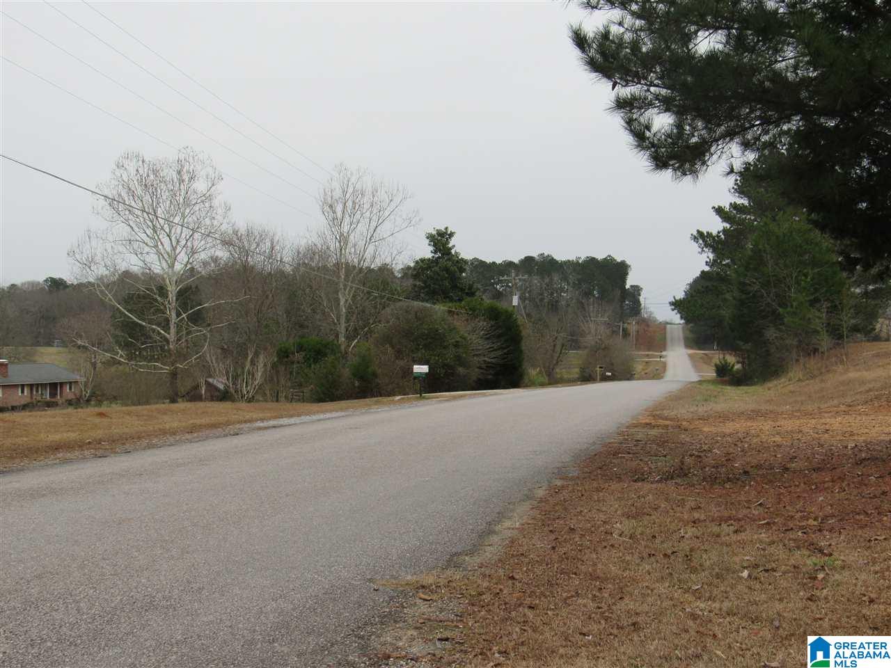 190 County Road 484 Clanton, AL 35046 - Photo 44 of 45